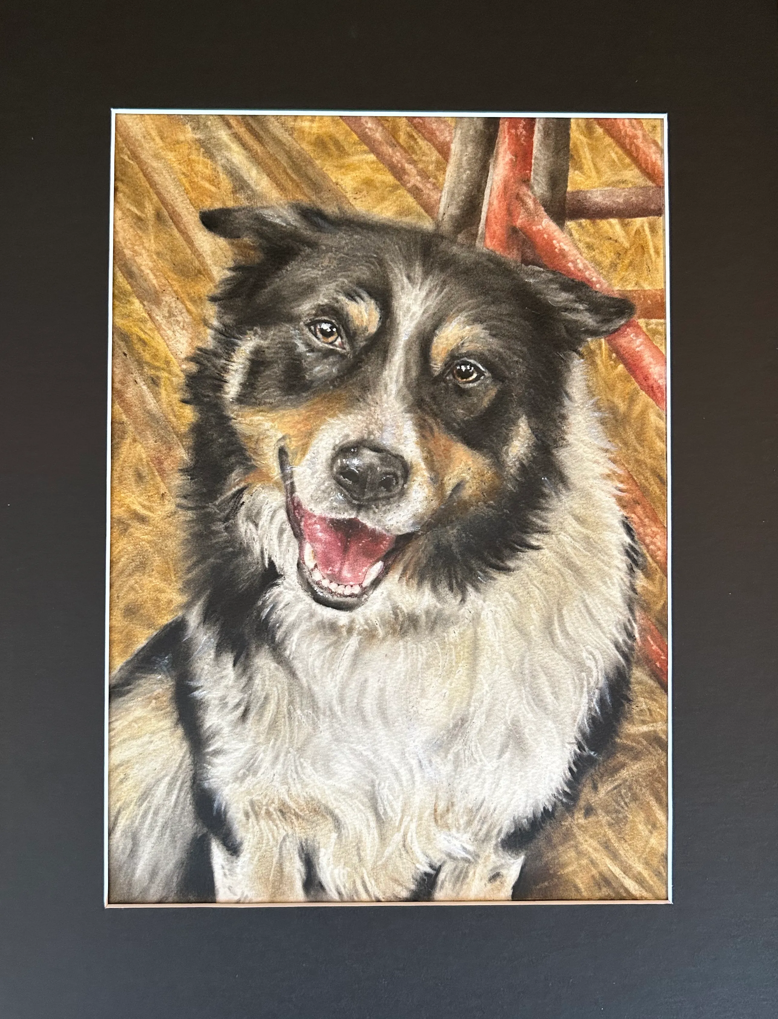 Pet portrait by Helena Tudgay